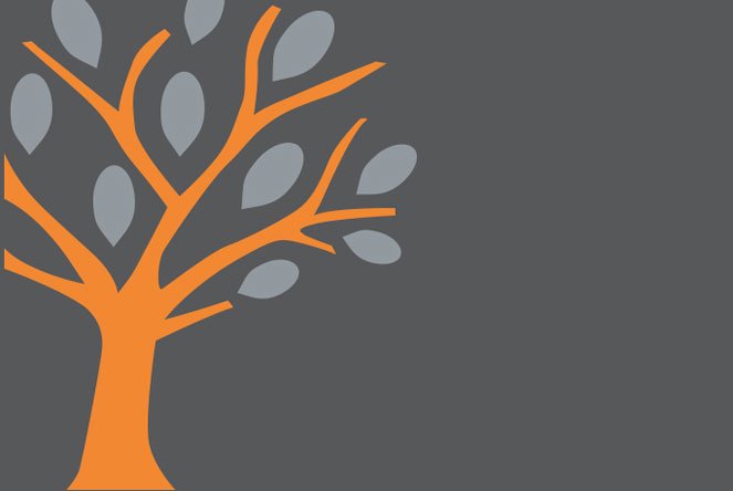 Adams Group -TFS Loans - Market Research & Branding