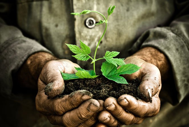 AgriBank – Branding, Website and Digital Marketing