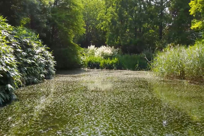 Adams Group -Broadview Gardens - Property Marketing