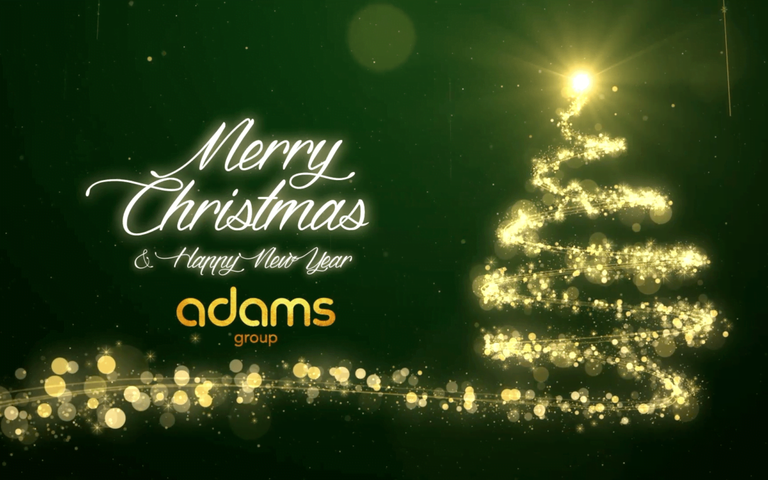 Merry Christmas & Happy New Year