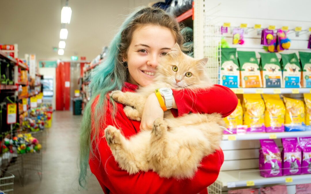 Jollyes Pet Superstore Photoshoot